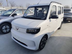 五菱汽车 五菱之光新能源 2025款 305km 进取型