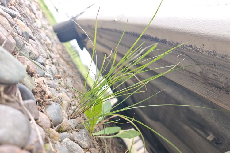 大众 Polo 2013款 1.4L 手动风尚版局部细节9001