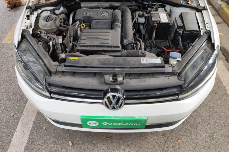 大众 高尔夫 2018款  230TSI 自动豪华型局部细节24