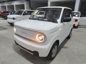 吉利银河 2024款 熊猫mini 200km 耐力熊