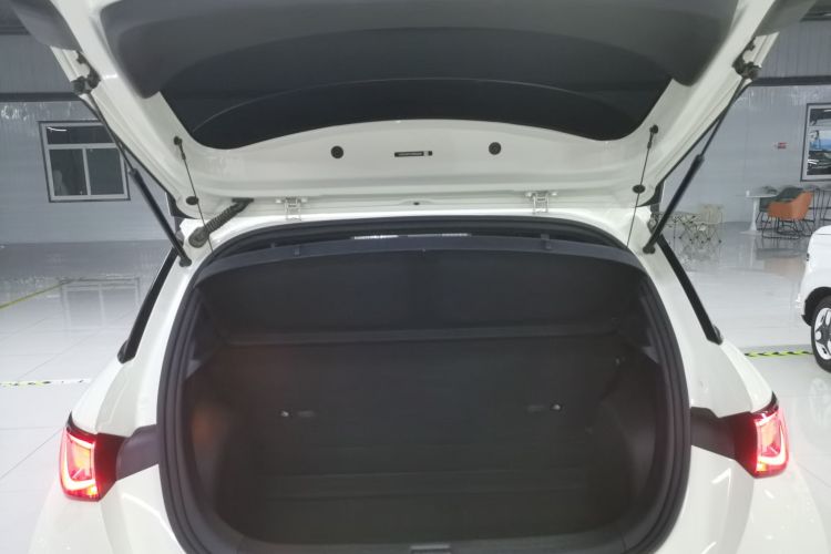 比亚迪 海豚 2021款 405km 时尚版机舱底盘23