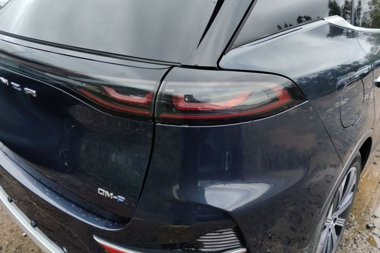 腾势N8 2023款 四驱超混旗舰七座版车身外观9