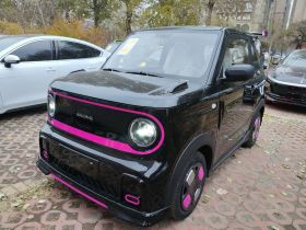 吉利银河 2025款 210km 熊猫卡丁