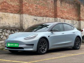 特斯拉 Model 3 2019款 标准续航后驱升级版