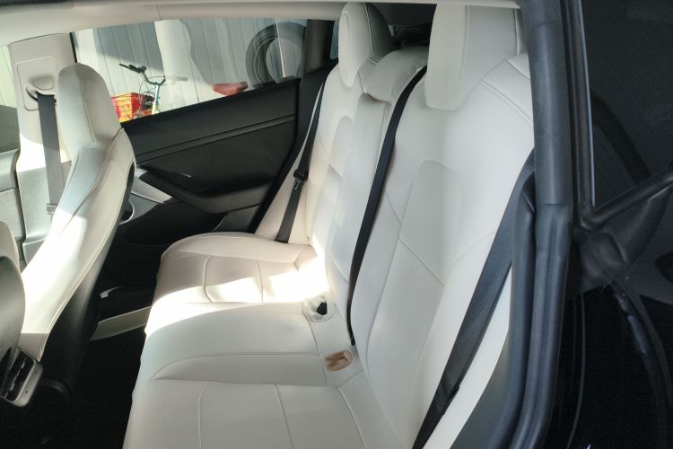 特斯拉 Model 3 2021款 Performance高性能全轮驱动版中控内饰7004