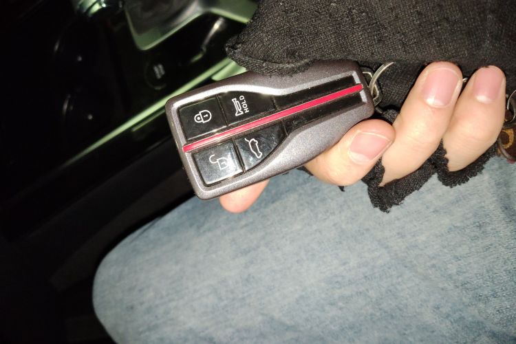 红旗HS5 2019款 2.0T 智联旗领四驱版中控内饰7001