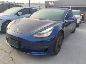 特斯拉 Model 3(进口) 2019款 长续航后驱版