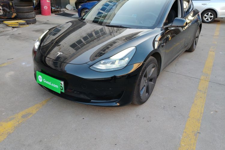 特斯拉 Model 3 2021款 标准续航后驱升级版 3D6局部细节36