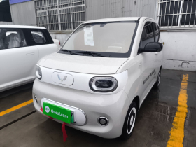 五菱汽车 宏光MINIEV 2024款 第三代 215km 青春版