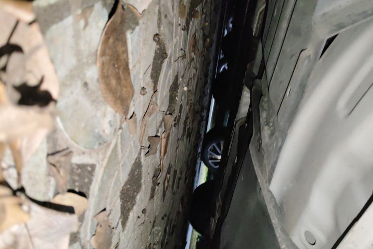 东风风行 风行游艇 2022款 1.5T DCT揽月版局部细节9002