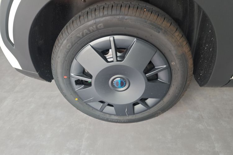 比亚迪 海鸥 2025款 智驾版 305km 活力版车身外观6008