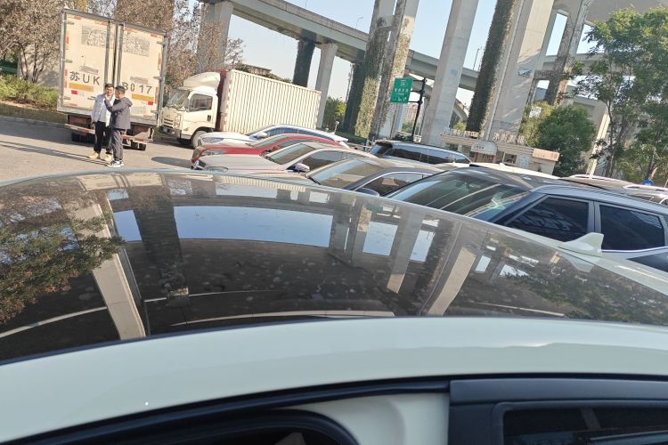 比亚迪 海豚 2023款 420km 时尚版局部细节57