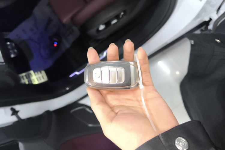 红旗E-HS9 2021款 510km 旗畅版 六座中控内饰11