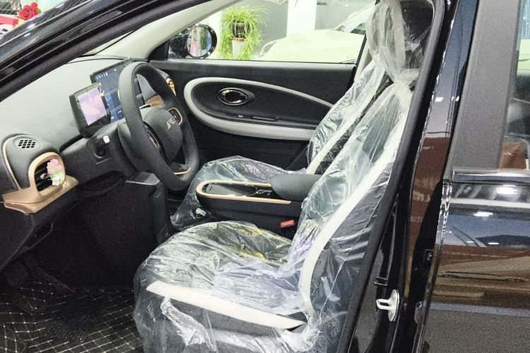 江淮钇为 钇为3 2025款 330km 黑凤梨版局部细节19