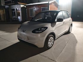 五菱汽车 五菱缤果 2023款 203km 轻享款