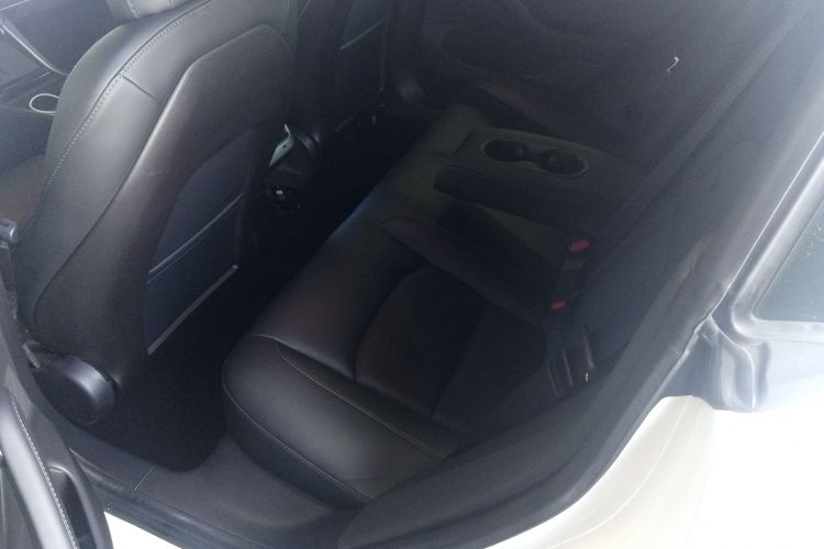 特斯拉 Model 3(进口) 2019款 长续航全轮驱动版中控内饰7004