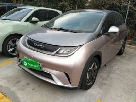 比亚迪 海豚 2021款 405km 时尚版