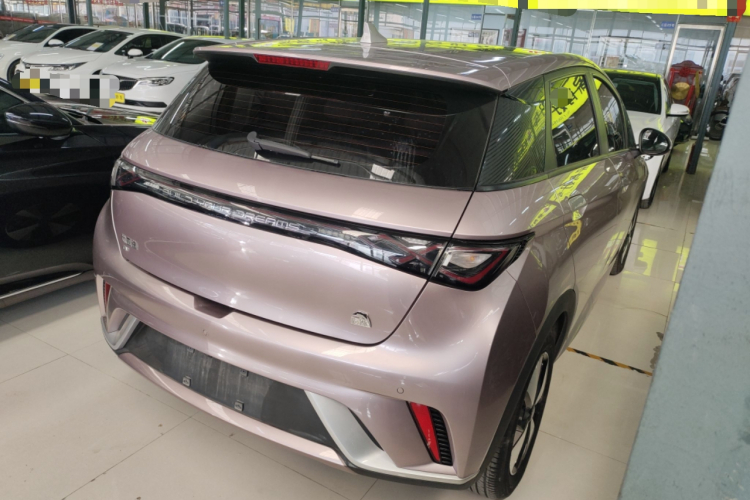 比亚迪 海豚 2023款 420km 时尚版车身外观7