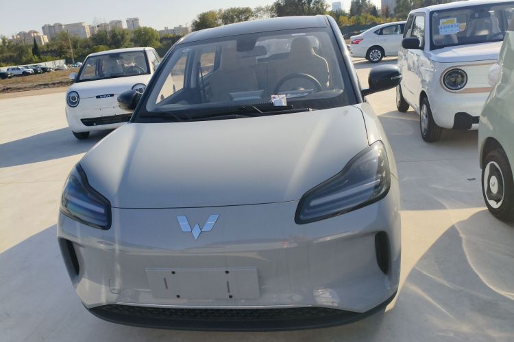 五菱汽车 五菱缤果PLUS 2024款 401km 五座版车身外观6001