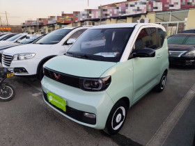 五菱汽车 宏光MINIEV 2021款 马卡龙时尚款 磷酸铁锂