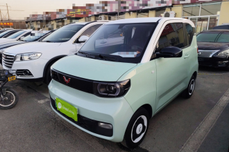 五菱汽车 宏光MINIEV 2021款 马卡龙时尚款 磷酸铁锂