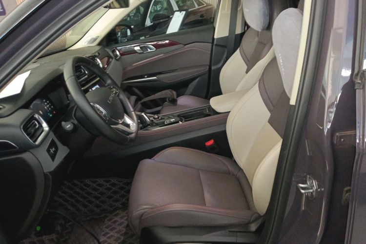 领克02 2021款 2.0TD 自动两驱耀 冠军版中控内饰19