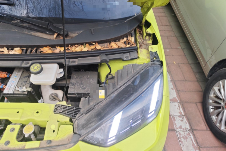 比亚迪 海鸥 2023款 自由版局部细节9007