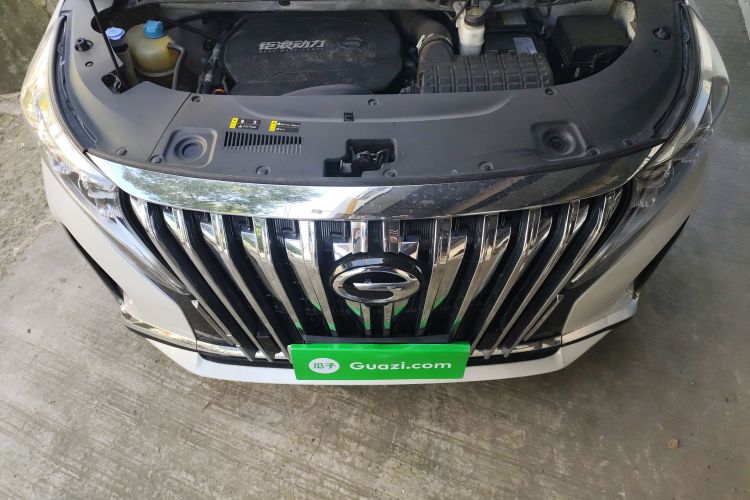 广汽传祺 传祺M8 2021款 改款 领秀系列 390T 豪华版局部细节24