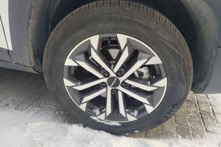 哈弗大狗 2026款 2.0T DCT中华田园犬版车身外观10