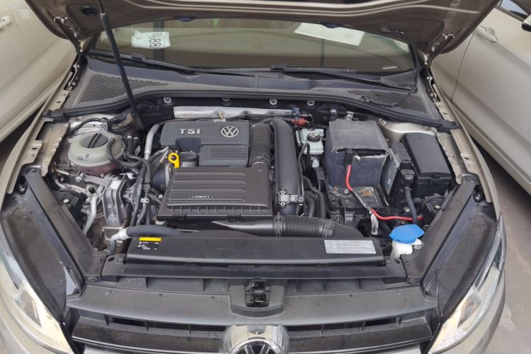 大众 高尔夫 2016款 230TSI 自动舒适型机舱底盘24