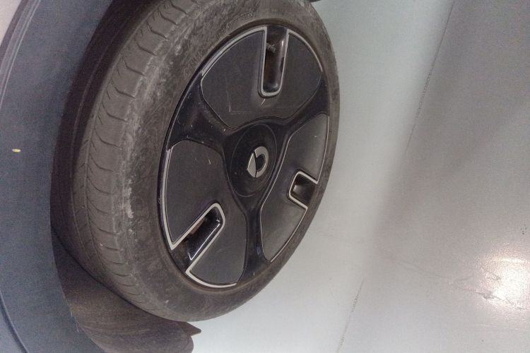 smart精灵#1 2022款 Premium版车身外观6007