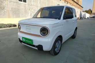 吉利银河 2024款 熊猫mini 200km 耐力熊