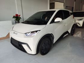 比亚迪 海鸥 2023款 活力版