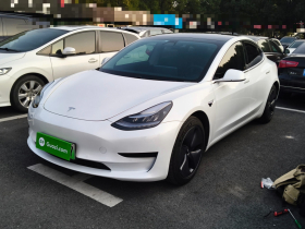 特斯拉 Model 3 2020款 改款 标准续航后驱升级版