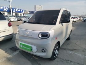 五菱汽车 宏光MINIEV 2024款 第三代 215km 青春版