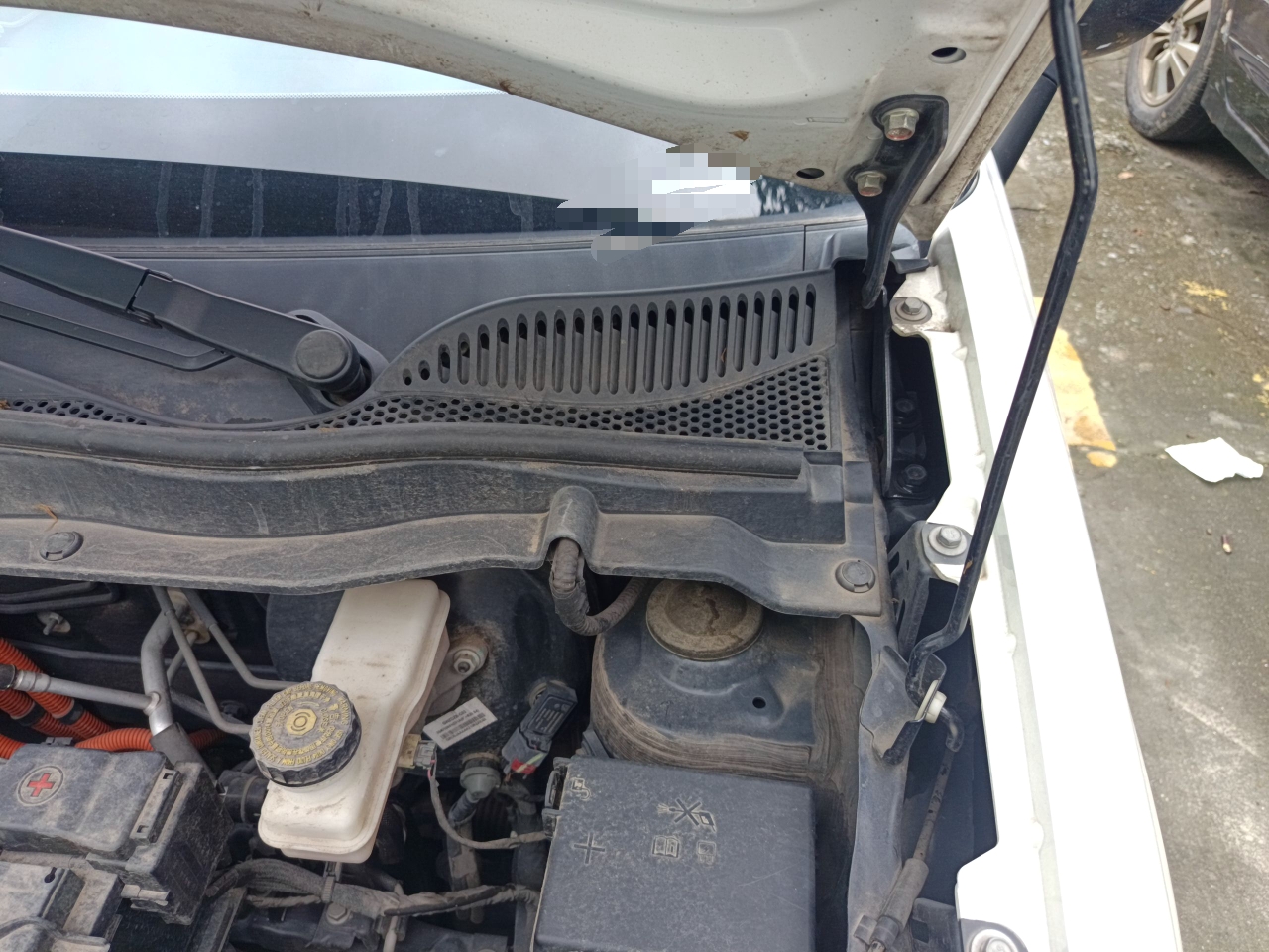 欧拉黑猫 2021款 301km 萌宠版