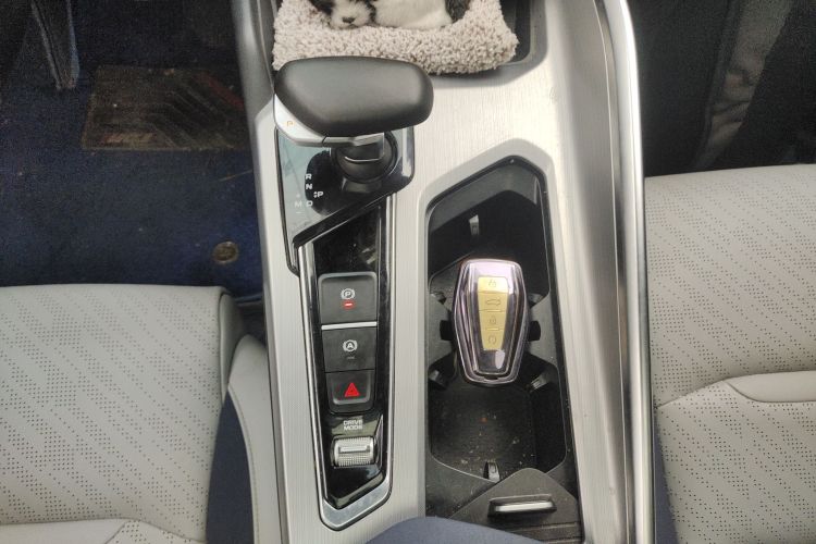 吉利汽车 星瑞 2021款 改款 2.0TD 尊贵型局部细节18