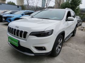 Jeep 自由光 2020款 2.0T 两驱领先版
