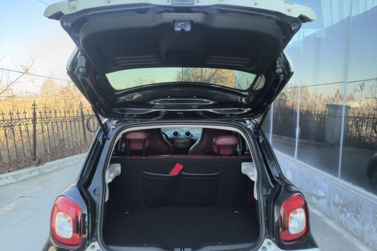 smart forfour 2018款 1.0L 52千瓦灵动版局部细节23