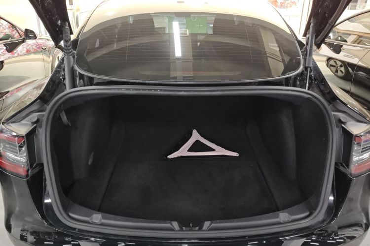 特斯拉 Model 3 2021款 标准续航后驱升级版 3D6机舱底盘23