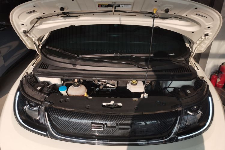 比亚迪 海豚 2023款 420km 自由版机舱底盘24