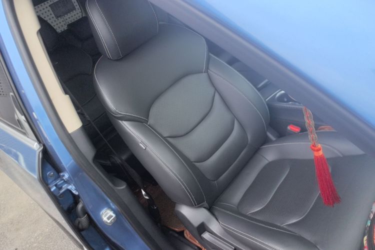 上汽大通MAXUS D90 2017款 2.0T 自动四驱 天狼星局部细节41