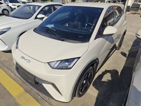 比亚迪 海鸥 2023款 飞翔版