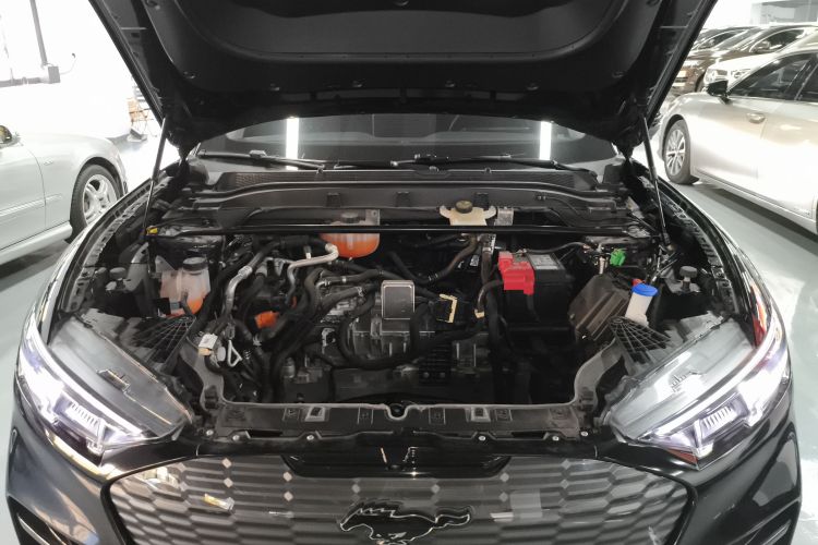 福特电马 2021款 无疆后驱豪华版(长续航)机舱底盘24