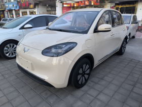 五菱汽车 五菱缤果 2025款 333km 悦享款