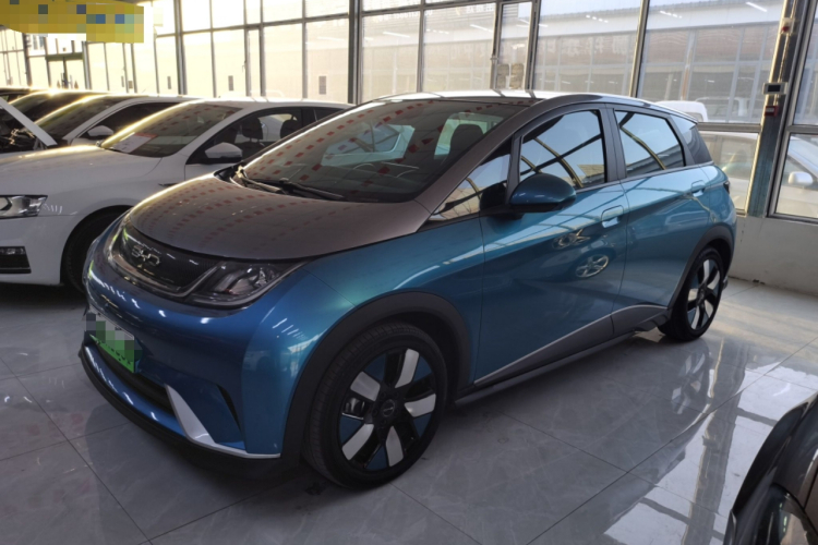 比亚迪 海豚 2021款 401km 骑士版车身外观4