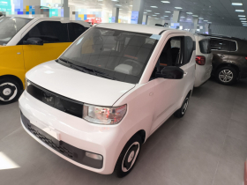 五菱汽车 宏光MINIEV 2022款 自在款 磷酸铁锂