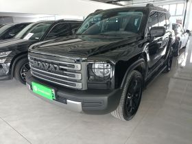 哈弗猛龙新能源 2024款 Hi4 102 Pro