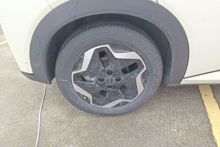 比亚迪 海豚 2021款 405km 时尚版车身外观6008