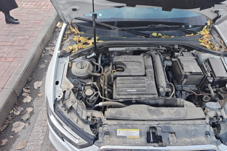 奥迪A3 2019款 Sportback 35 TFSI 时尚型 国VI局部细节9006